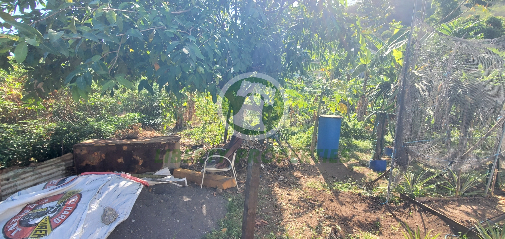 20260509_130952 PRIME RESIDENTIAL LOT FOR SALE ā CLARE VALLEY, ST. ANDREW Saint Vincent and the Grenadines. List Price$60,096.00 XCD-Open to Offers