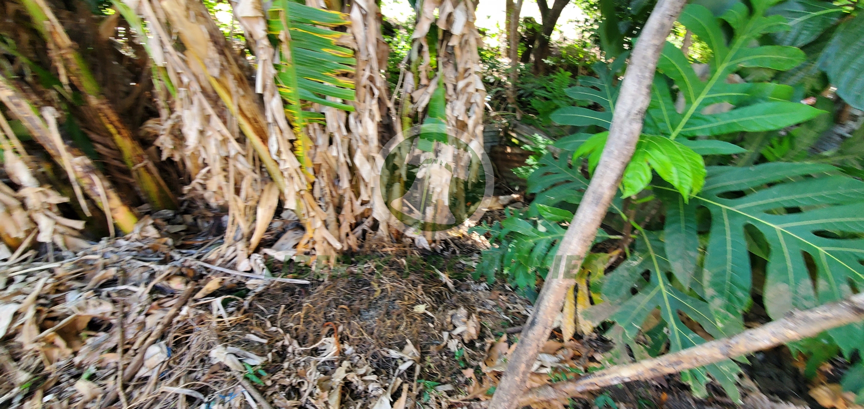 20260509_131019 PRIME RESIDENTIAL LOT FOR SALE ā CLARE VALLEY, ST. ANDREW Saint Vincent and the Grenadines. List Price$60,096.00 XCD-Open to Offers