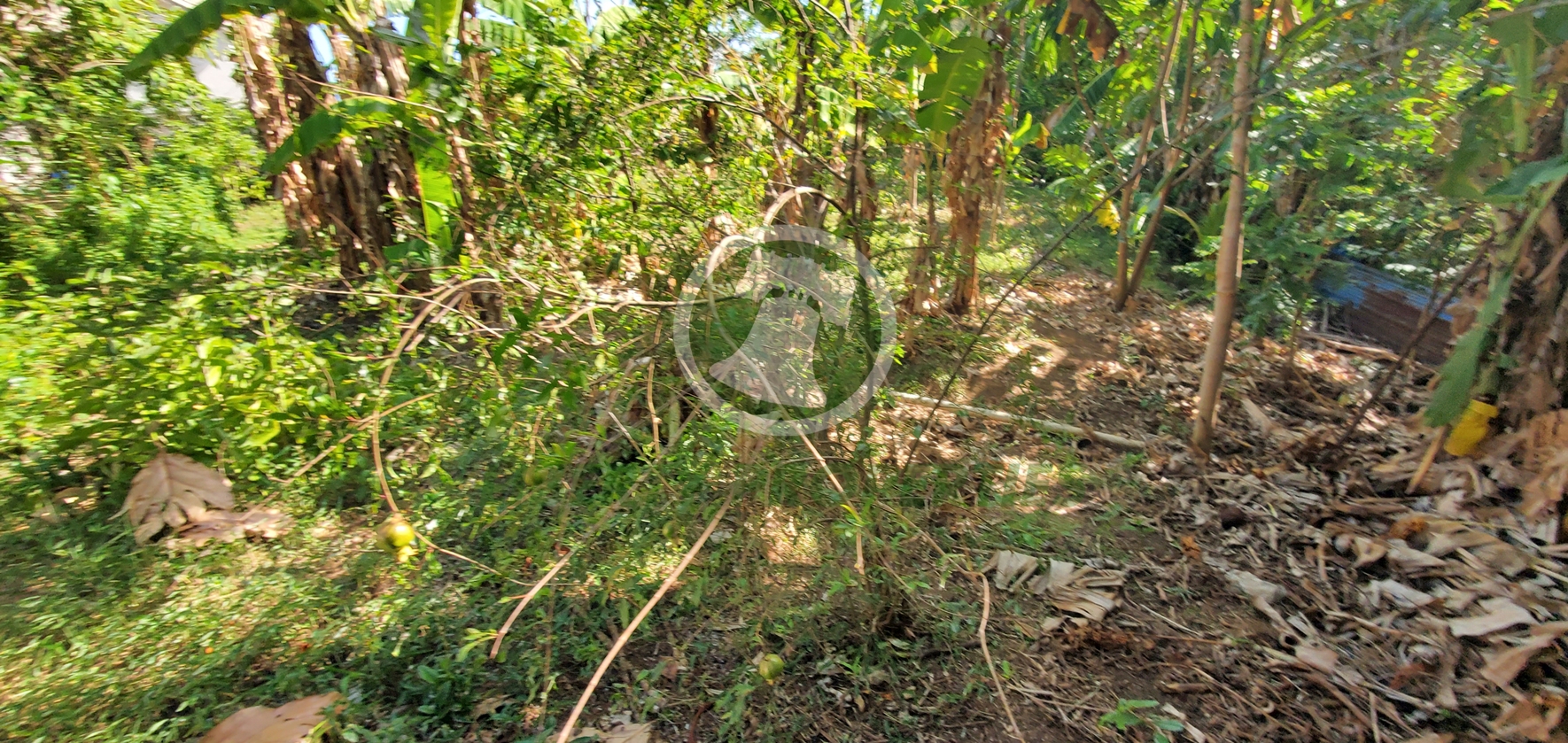 20260509_131024 PRIME RESIDENTIAL LOT FOR SALE ā CLARE VALLEY, ST. ANDREW Saint Vincent and the Grenadines. List Price$60,096.00 XCD-Open to Offers