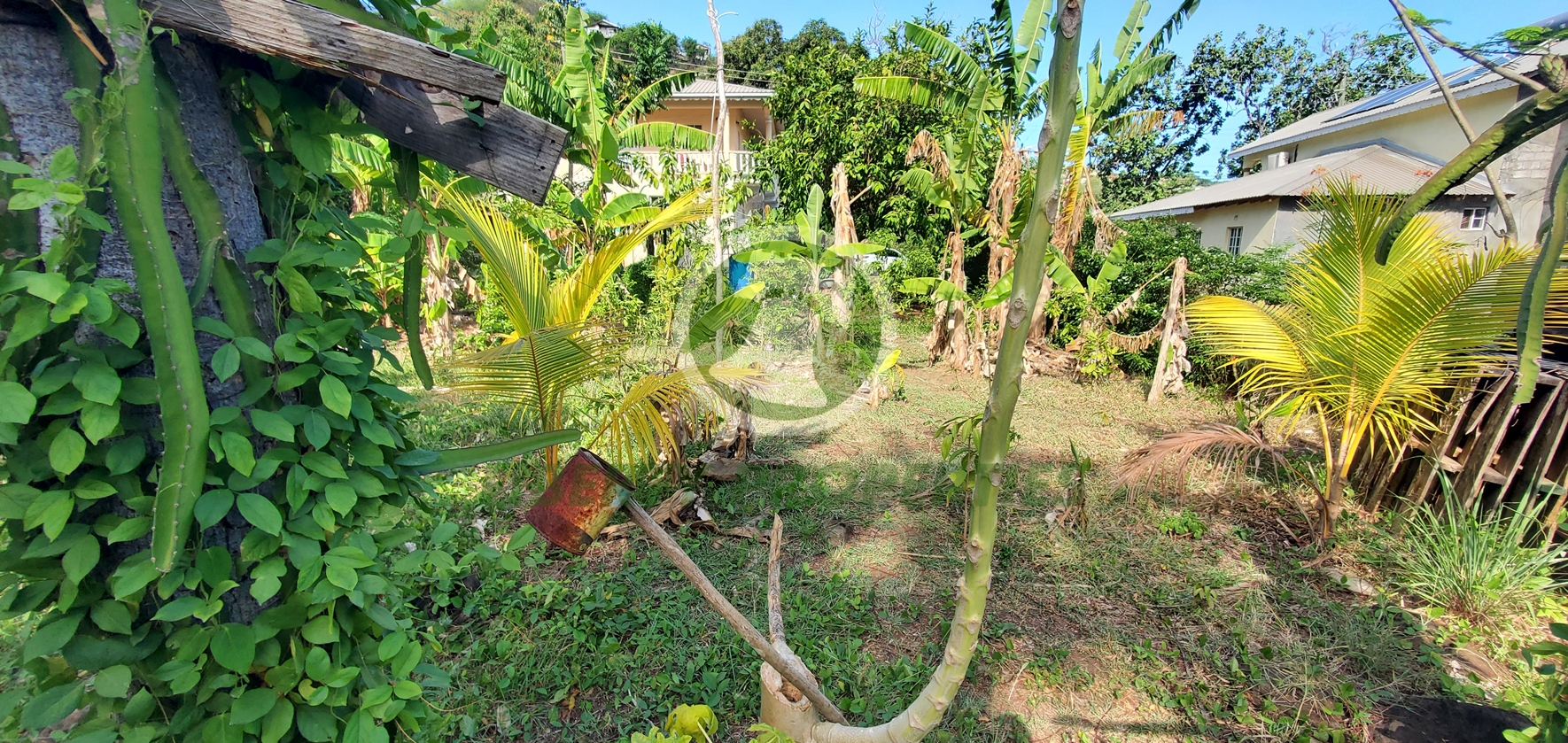 20260509_131112 PRIME RESIDENTIAL LOT FOR SALE ā CLARE VALLEY, ST. ANDREW Saint Vincent and the Grenadines. List Price$60,096.00 XCD-Open to Offers