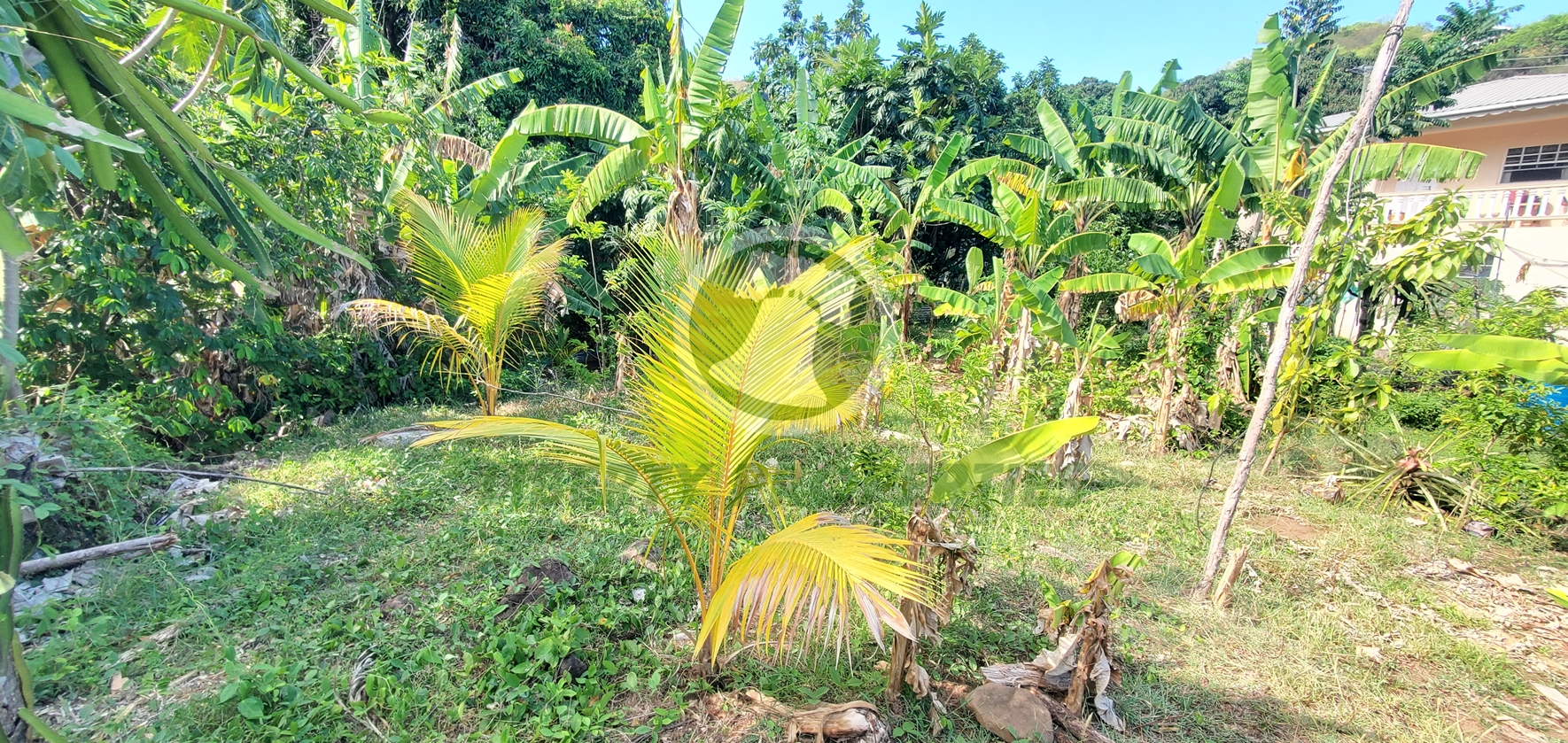20260509_131127 PRIME RESIDENTIAL LOT FOR SALE ā CLARE VALLEY, ST. ANDREW Saint Vincent and the Grenadines. List Price$60,096.00 XCD-Open to Offers