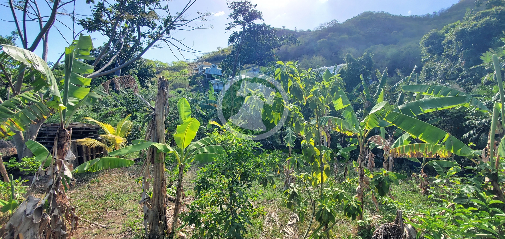 20260509_131141 PRIME RESIDENTIAL LOT FOR SALE ā CLARE VALLEY, ST. ANDREW Saint Vincent and the Grenadines. List Price$60,096.00 XCD-Open to Offers