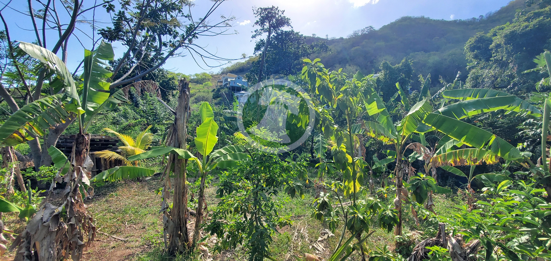 20260509_131144 PRIME RESIDENTIAL LOT FOR SALE ā CLARE VALLEY, ST. ANDREW Saint Vincent and the Grenadines. List Price$60,096.00 XCD-Open to Offers