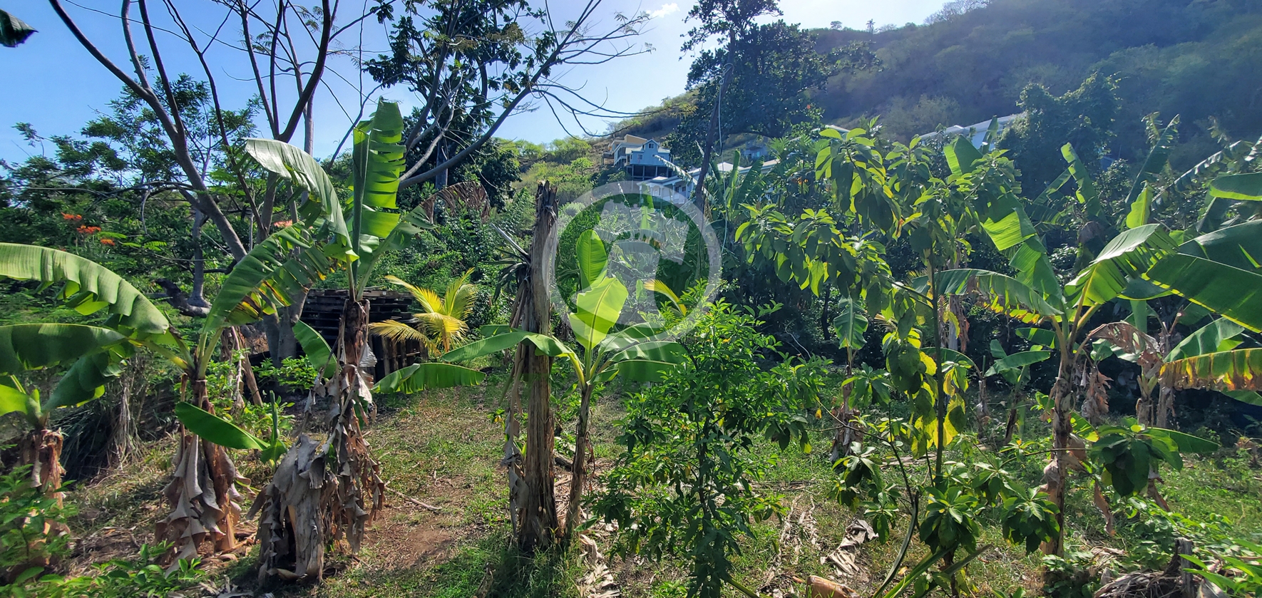 20260509_131146 PRIME RESIDENTIAL LOT FOR SALE ā CLARE VALLEY, ST. ANDREW Saint Vincent and the Grenadines. List Price$60,096.00 XCD-Open to Offers