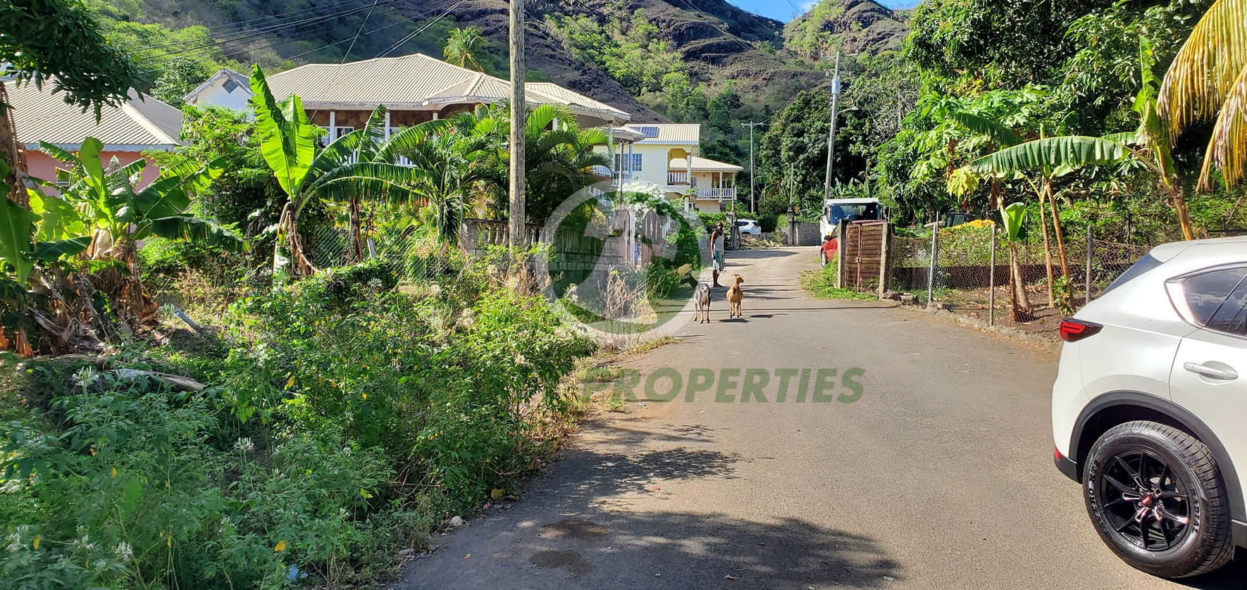 20260509_131415 PRIME RESIDENTIAL LOT FOR SALE ā CLARE VALLEY, ST. ANDREW Saint Vincent and the Grenadines. List Price$60,096.00 XCD-Open to Offers