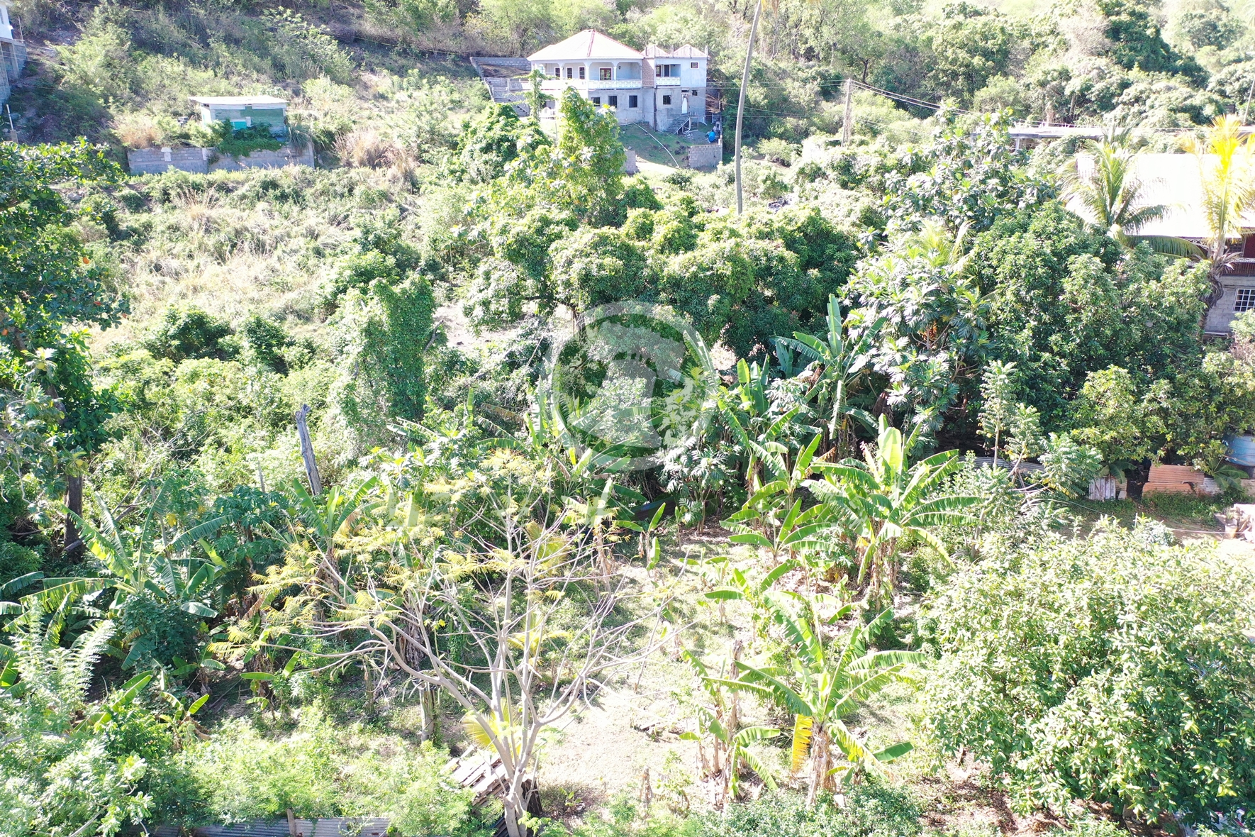 default PRIME RESIDENTIAL LOT FOR SALE ā CLARE VALLEY, ST. ANDREW Saint Vincent and the Grenadines. List Price$60,096.00 XCD-Open to Offers